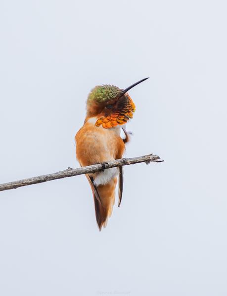 Customer photo 3 of 5. Click to open full size image.