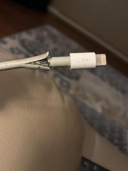 Customer photo 2 of 3. Click to open full size image.