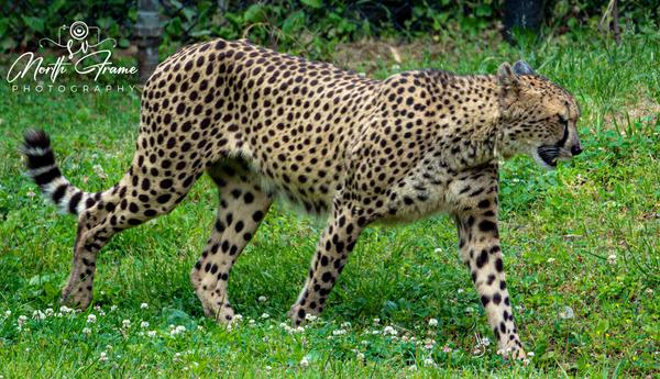 Customer photo 1 of 5. Click to open full size image.