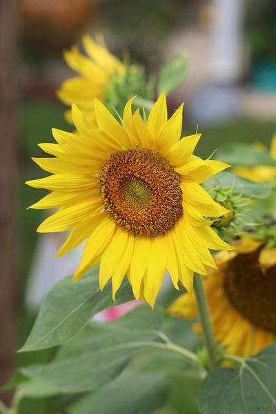 Customer photo 1 of 4. Click to open full size image.