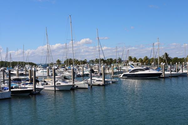 Customer photo 1 of 6. Click to open full size image.