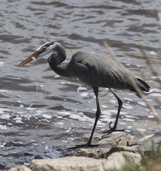 Customer photo 3 of 4. Click to open full size image.