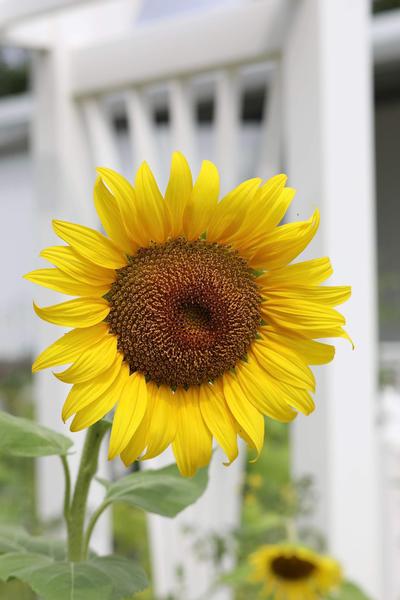 Customer photo 2 of 4. Click to open full size image.