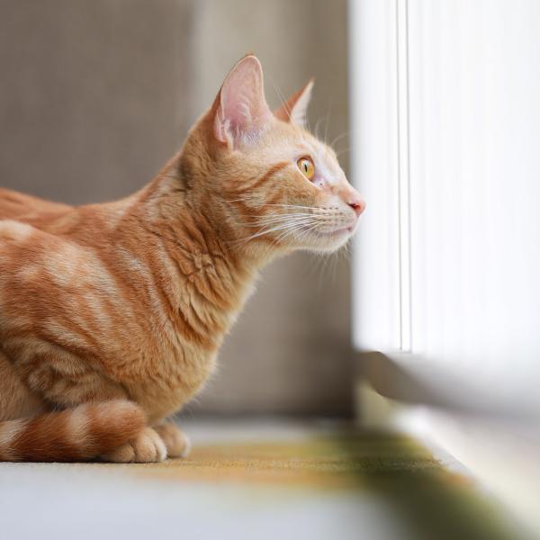 Customer photo 2 of 4. Click to open full size image.