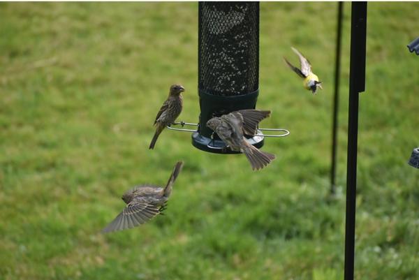 Customer photo 2 of 6. Click to open full size image.