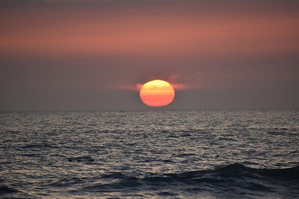 Customer photo 2 of 6. Click to open full size image.