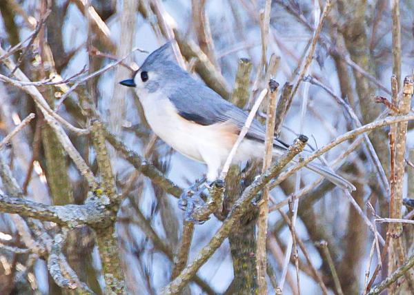 Customer photo 3 of 4. Click to open full size image.