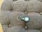 User submitted photo