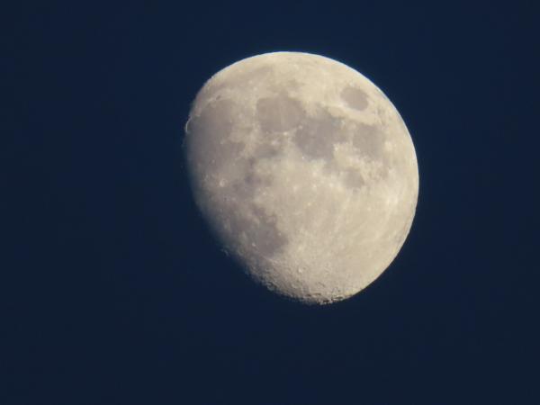 Customer photo 3 of 6. Click to open full size image.