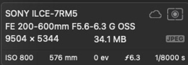 Customer photo 4 of 6. Click to open full size image.