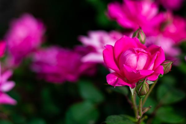 Customer photo 3 of 3. Click to open full size image.