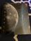 User submitted photo