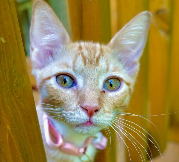 Customer photo 4 of 6. Click to open full size image.