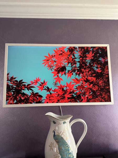 Customer provided image, click to load a larger version