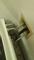 User submitted photo