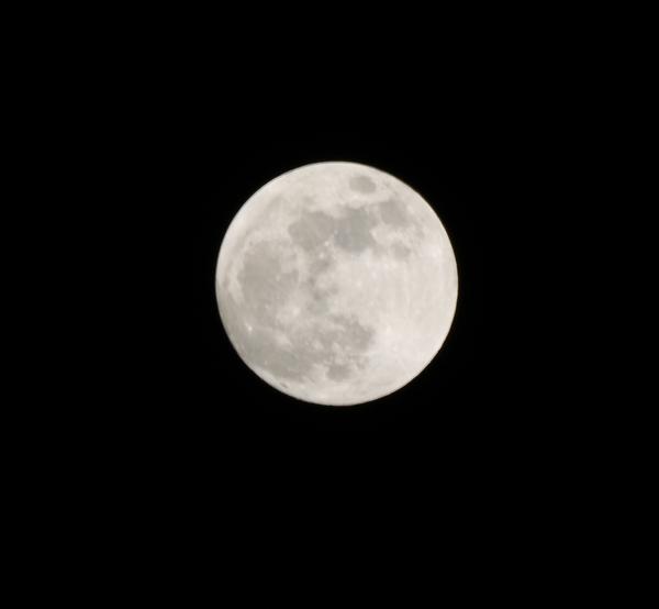 Customer photo 1 of 6. Click to open full size image.