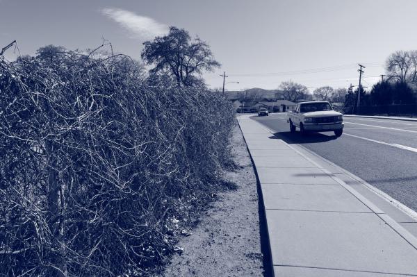 Customer photo 2 of 5. Click to open full size image.