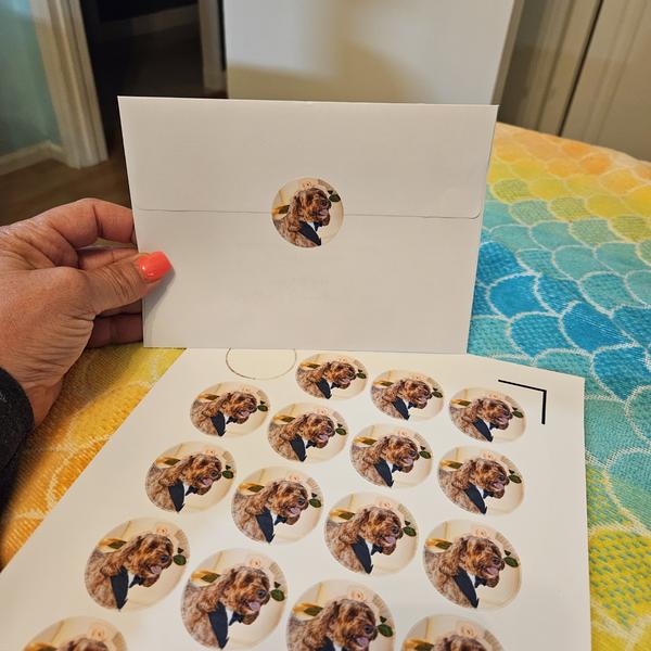 Customer photo 1 of 1. Click to open full size image.