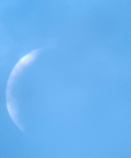 Customer photo 3 of 3. Click to open full size image.