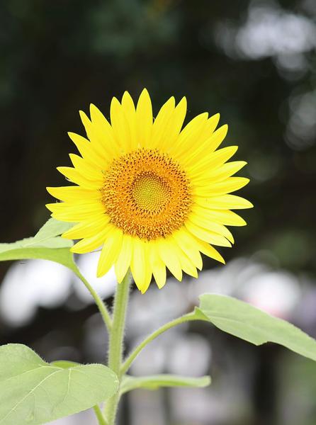 Customer photo 3 of 4. Click to open full size image.