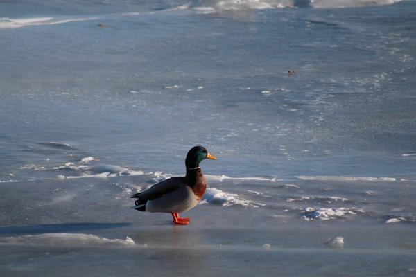 Customer photo 1 of 4. Click to open full size image.