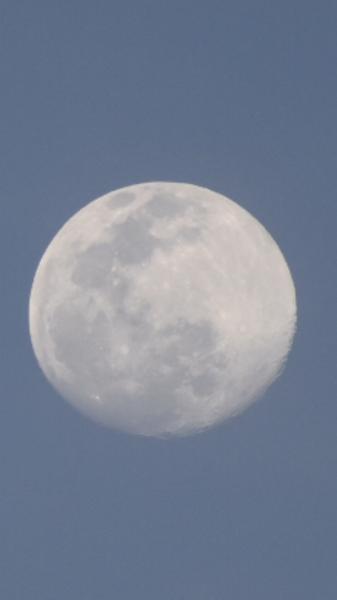 Customer photo 1 of 6. Click to open full size image.