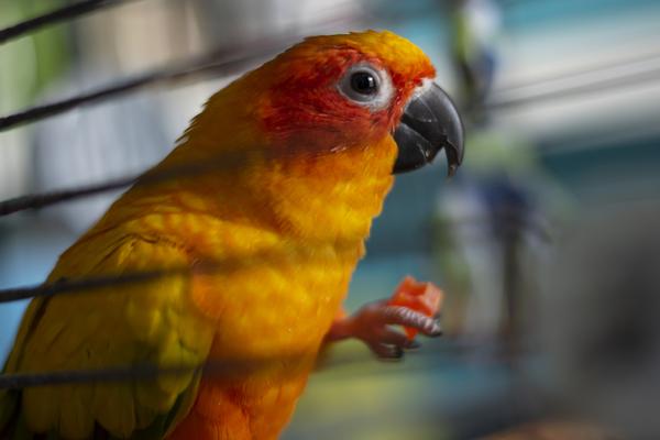 Customer photo 4 of 4. Click to open full size image.