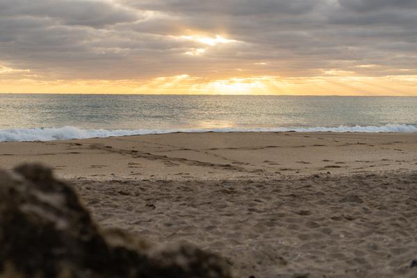 Customer photo 2 of 5. Click to open full size image.