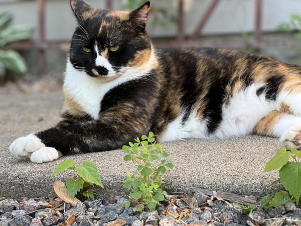 Customer photo 4 of 4. Click to open full size image.