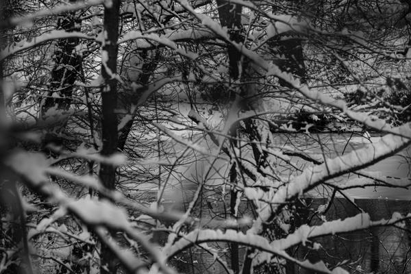 Customer photo 1 of 4. Click to open full size image.