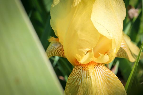 Customer photo 1 of 2. Click to open full size image.