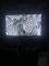 User submitted photo