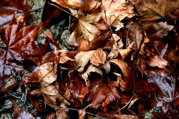 Customer photo 2 of 6. Click to open full size image.