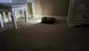 User submitted photo