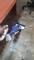 User submitted photo