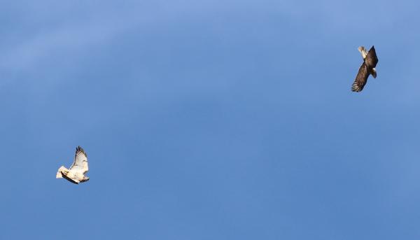 Customer photo 3 of 6. Click to open full size image.