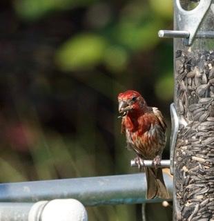 Customer photo 2 of 3. Click to open full size image.