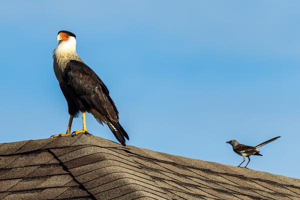 Customer photo 3 of 3. Click to open full size image.