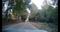 User submitted photo
