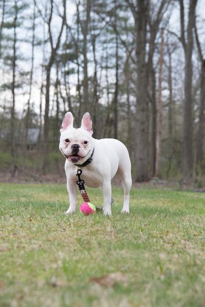 Customer photo 2 of 2. Click to open full size image.