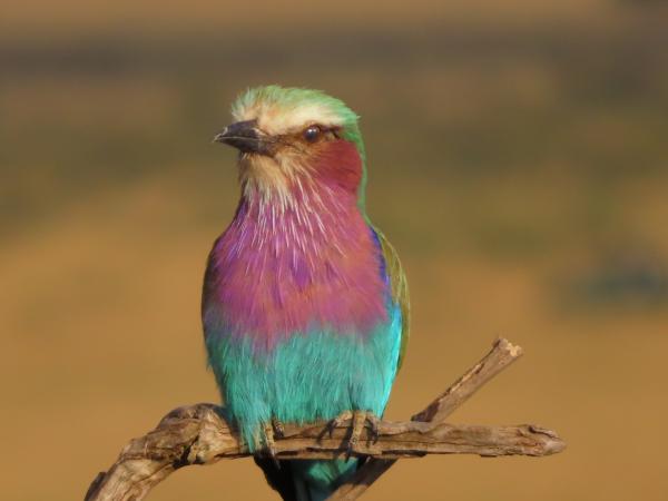 Customer photo 4 of 6. Click to open full size image.