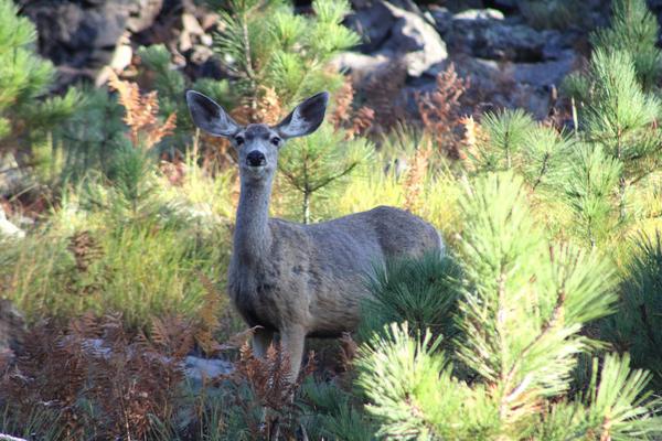 Customer photo 3 of 6. Click to open full size image.