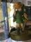User submitted photo
