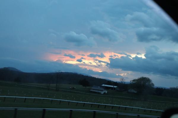 Customer photo 1 of 4. Click to open full size image.