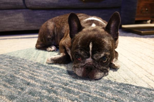 Customer photo 6 of 6. Click to open full size image.