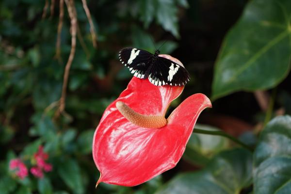 Customer photo 6 of 6. Click to open full size image.