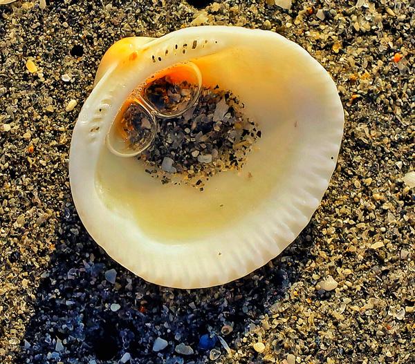 Customer photo 1 of 6. Click to open full size image.