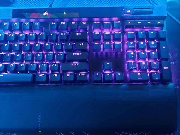 Customer photo 1 of 4. Click to open full size image.