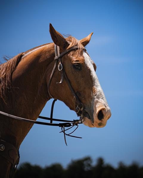 Customer photo 1 of 5. Click to open full size image.