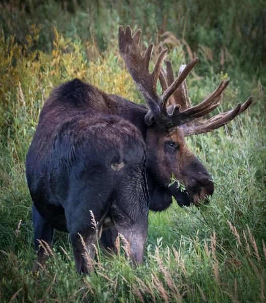 Customer photo 1 of 3. Click to open full size image.